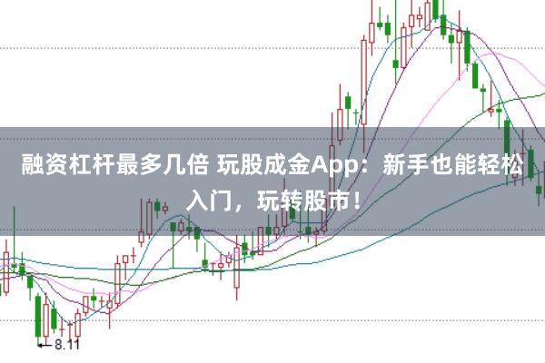 融资杠杆最多几倍 玩股成金App：新手也能轻松入门，玩转股市！