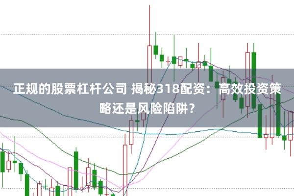 正规的股票杠杆公司 揭秘318配资：高效投资策略还是风险陷阱？