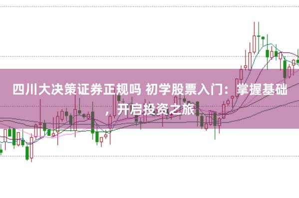 四川大决策证券正规吗 初学股票入门：掌握基础，开启投资之旅