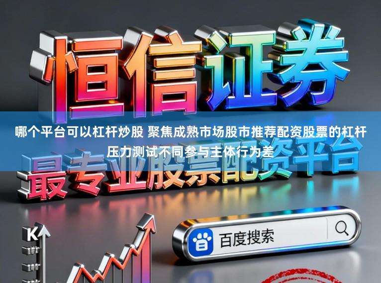 哪个平台可以杠杆炒股 聚焦成熟市场股市推荐配资股票的杠杆压力测试不同参与主体行为差