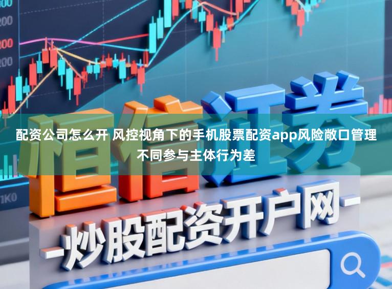 配资公司怎么开 风控视角下的手机股票配资app风险敞口管理不同参与主体行为差